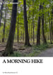 A Morning Hike